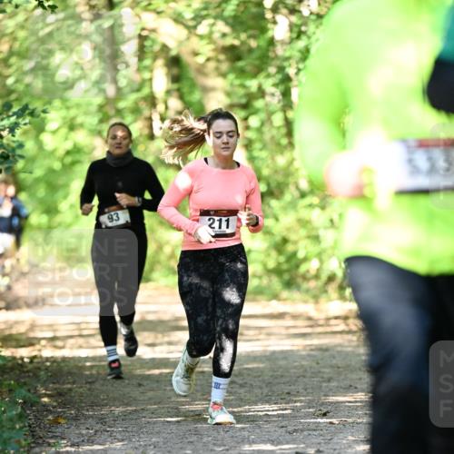 06.10.2024 - Bramfelder Halbmarathon 2024 Dr. Thomas Lammeyer http://msf.ph/oto/7341206 06.10.2024 10:48:26 Laufen 93, 211 meine-sportfotos.de