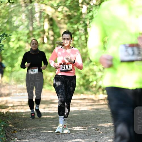 06.10.2024 - Bramfelder Halbmarathon 2024 Dr. Thomas Lammeyer http://msf.ph/oto/7341207 06.10.2024 10:48:26 Laufen 211 meine-sportfotos.de