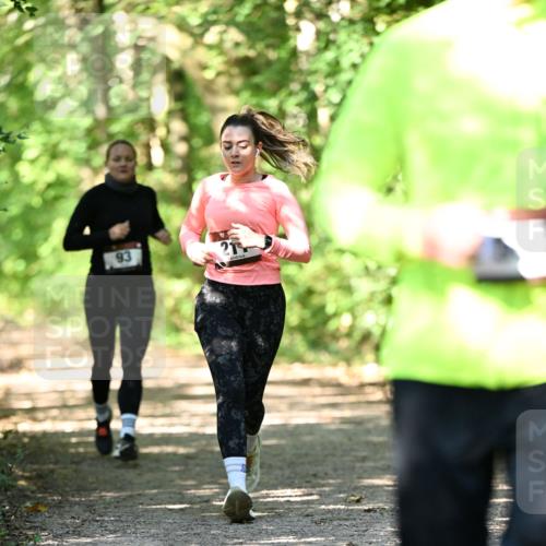 06.10.2024 - Bramfelder Halbmarathon 2024 Dr. Thomas Lammeyer http://msf.ph/oto/7341208 06.10.2024 10:48:27 Laufen 33, 93, 21 meine-sportfotos.de