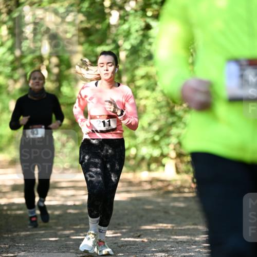 06.10.2024 - Bramfelder Halbmarathon 2024 Dr. Thomas Lammeyer http://msf.ph/oto/7341212 06.10.2024 10:48:27 Laufen 93, 11 meine-sportfotos.de