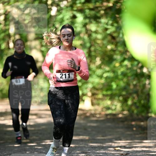 06.10.2024 - Bramfelder Halbmarathon 2024 Dr. Thomas Lammeyer http://msf.ph/oto/7341217 06.10.2024 10:48:28 Laufen 211 meine-sportfotos.de