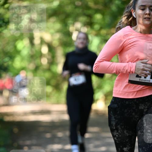 06.10.2024 - Bramfelder Halbmarathon 2024 Dr. Thomas Lammeyer http://msf.ph/oto/7341223 06.10.2024 10:48:30 Laufen  meine-sportfotos.de