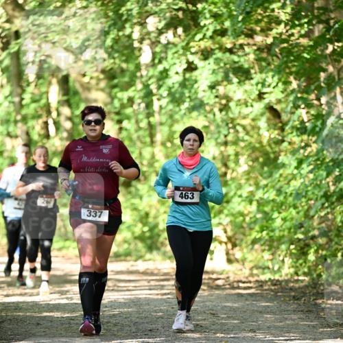 06.10.2024 - Bramfelder Halbmarathon 2024 Dr. Thomas Lammeyer http://msf.ph/oto/7341308 06.10.2024 10:48:54 Laufen 19, 260, 337, 463 meine-sportfotos.de