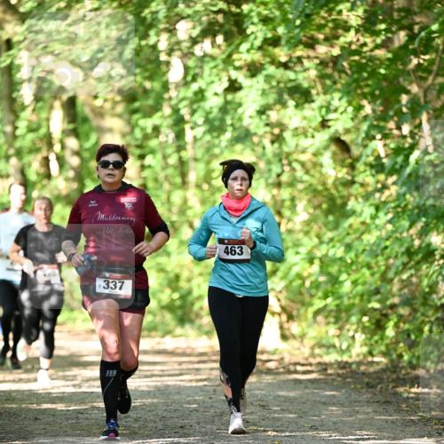 06.10.2024 - Bramfelder Halbmarathon 2024 Dr. Thomas Lammeyer http://msf.ph/oto/7341309 06.10.2024 10:48:54 Laufen 10, 463, 260, 337 meine-sportfotos.de