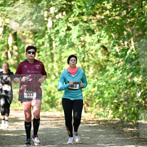 06.10.2024 - Bramfelder Halbmarathon 2024 Dr. Thomas Lammeyer http://msf.ph/oto/7341310 06.10.2024 10:48:55 Laufen 10, 337, 463 meine-sportfotos.de
