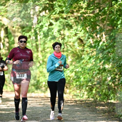 06.10.2024 - Bramfelder Halbmarathon 2024 Dr. Thomas Lammeyer http://msf.ph/oto/7341311 06.10.2024 10:48:55 Laufen 463, 50, 337 meine-sportfotos.de