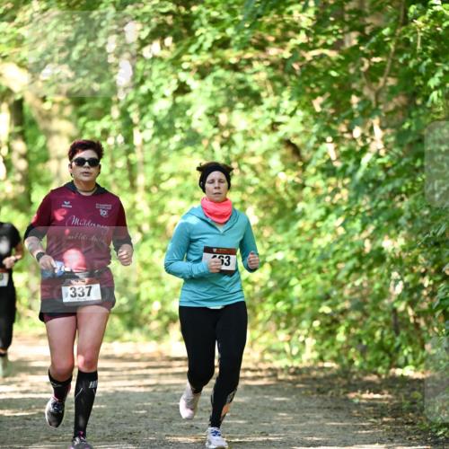 06.10.2024 - Bramfelder Halbmarathon 2024 Dr. Thomas Lammeyer http://msf.ph/oto/7341312 06.10.2024 10:48:55 Laufen 10, 74, 337, 53 meine-sportfotos.de