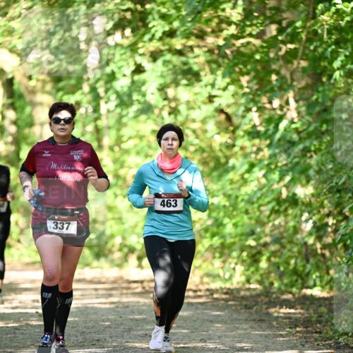 06.10.2024 - Bramfelder Halbmarathon 2024 Dr. Thomas Lammeyer http://msf.ph/oto/7341313 06.10.2024 10:48:55 Laufen 10, 337, 463 meine-sportfotos.de