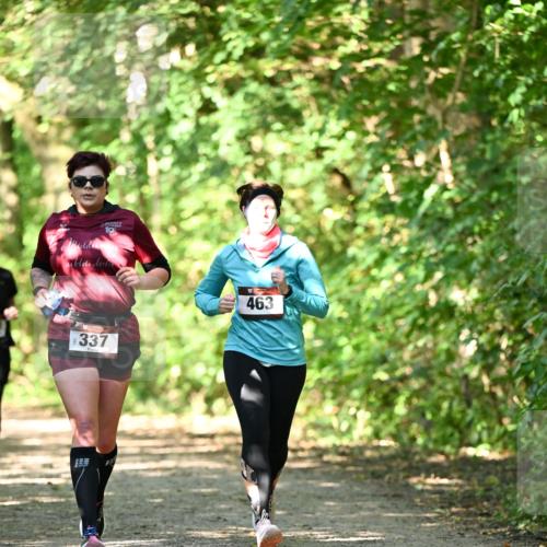 06.10.2024 - Bramfelder Halbmarathon 2024 Dr. Thomas Lammeyer http://msf.ph/oto/7341314 06.10.2024 10:48:55 Laufen 337, 463 meine-sportfotos.de
