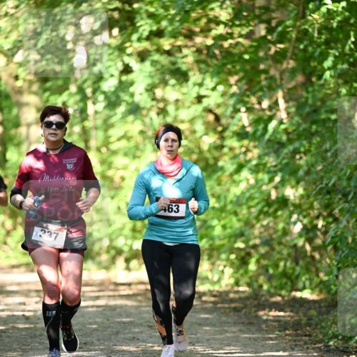 06.10.2024 - Bramfelder Halbmarathon 2024 Dr. Thomas Lammeyer http://msf.ph/oto/7341315 06.10.2024 10:48:55 Laufen 10, 337, 463 meine-sportfotos.de