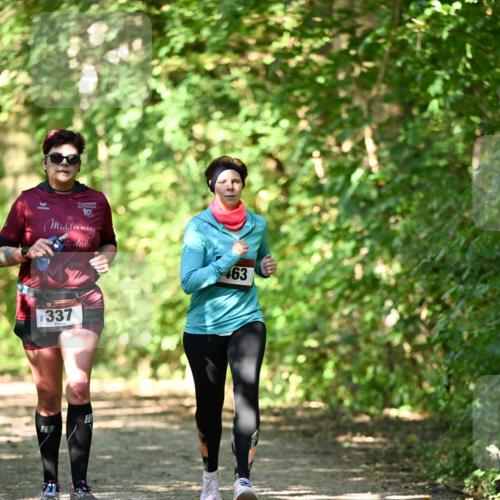 06.10.2024 - Bramfelder Halbmarathon 2024 Dr. Thomas Lammeyer http://msf.ph/oto/7341316 06.10.2024 10:48:55 Laufen 10, 463, 337 meine-sportfotos.de