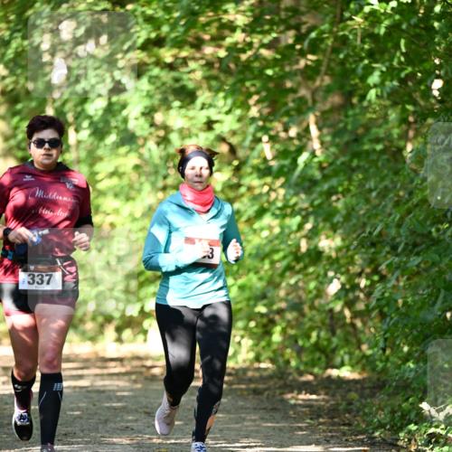 06.10.2024 - Bramfelder Halbmarathon 2024 Dr. Thomas Lammeyer http://msf.ph/oto/7341317 06.10.2024 10:48:56 Laufen 337 meine-sportfotos.de
