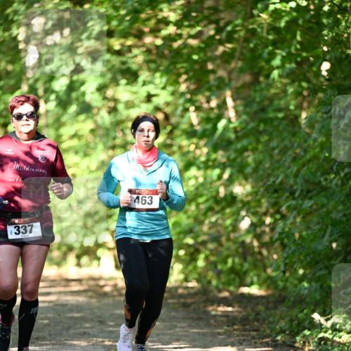 06.10.2024 - Bramfelder Halbmarathon 2024 Dr. Thomas Lammeyer http://msf.ph/oto/7341318 06.10.2024 10:48:56 Laufen 463, 337 meine-sportfotos.de