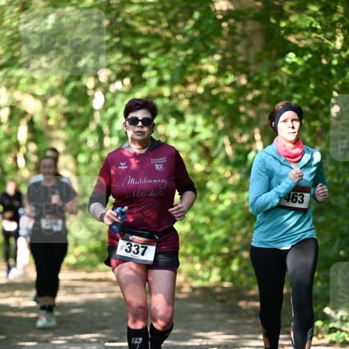 06.10.2024 - Bramfelder Halbmarathon 2024 Dr. Thomas Lammeyer http://msf.ph/oto/7341326 06.10.2024 10:48:58 Laufen 30, 10, 463, 337 meine-sportfotos.de