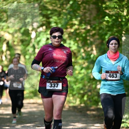 06.10.2024 - Bramfelder Halbmarathon 2024 Dr. Thomas Lammeyer http://msf.ph/oto/7341328 06.10.2024 10:48:58 Laufen 30, 337, 463 meine-sportfotos.de