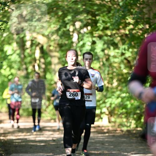 06.10.2024 - Bramfelder Halbmarathon 2024 Dr. Thomas Lammeyer http://msf.ph/oto/7341335 06.10.2024 10:49:00 Laufen 260, 229, 29 meine-sportfotos.de