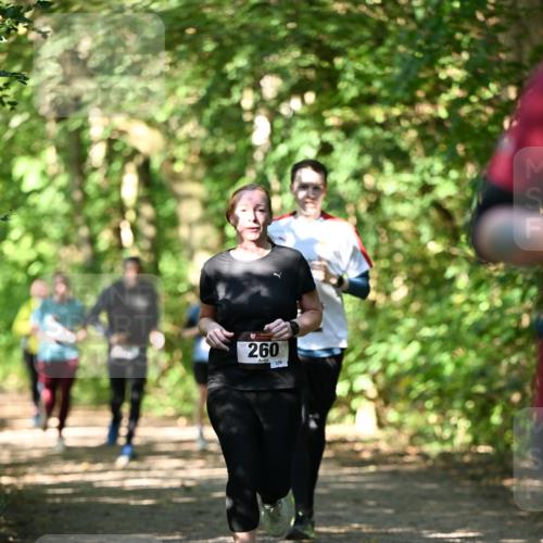 06.10.2024 - Bramfelder Halbmarathon 2024 Dr. Thomas Lammeyer http://msf.ph/oto/7341336 06.10.2024 10:49:00 Laufen 260, 229 meine-sportfotos.de
