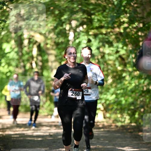 06.10.2024 - Bramfelder Halbmarathon 2024 Dr. Thomas Lammeyer http://msf.ph/oto/7341337 06.10.2024 10:49:00 Laufen 260, 229, 29 meine-sportfotos.de