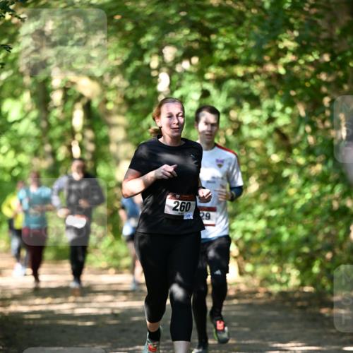 06.10.2024 - Bramfelder Halbmarathon 2024 Dr. Thomas Lammeyer http://msf.ph/oto/7341338 06.10.2024 10:49:00 Laufen 260, 229, 29 meine-sportfotos.de