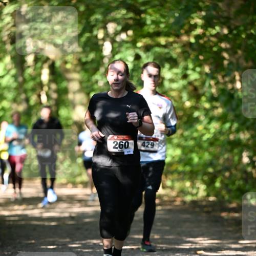 06.10.2024 - Bramfelder Halbmarathon 2024 Dr. Thomas Lammeyer http://msf.ph/oto/7341340 06.10.2024 10:49:00 Laufen 260, 229, 429 meine-sportfotos.de