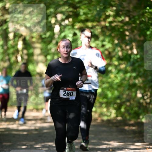 06.10.2024 - Bramfelder Halbmarathon 2024 Dr. Thomas Lammeyer http://msf.ph/oto/7341342 06.10.2024 10:49:01 Laufen 260, 229 meine-sportfotos.de
