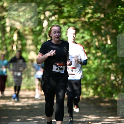 06.10.2024 - Bramfelder Halbmarathon 2024 Dr. Thomas Lammeyer http://msf.ph/oto/7341343 06.10.2024 10:49:01 Laufen 260, 229 meine-sportfotos.de