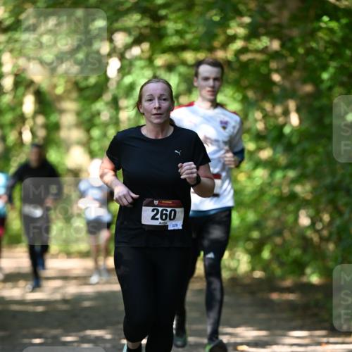 06.10.2024 - Bramfelder Halbmarathon 2024 Dr. Thomas Lammeyer http://msf.ph/oto/7341345 06.10.2024 10:49:01 Laufen 260, 229 meine-sportfotos.de