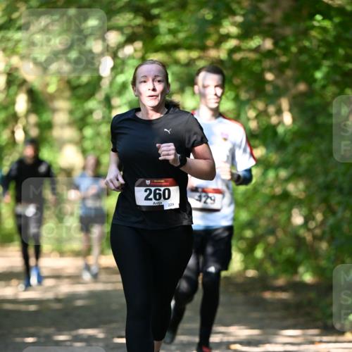06.10.2024 - Bramfelder Halbmarathon 2024 Dr. Thomas Lammeyer http://msf.ph/oto/7341346 06.10.2024 10:49:01 Laufen 260, 229 meine-sportfotos.de