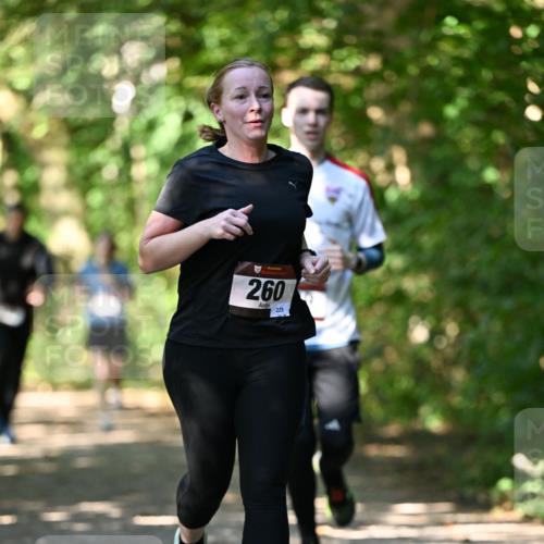 06.10.2024 - Bramfelder Halbmarathon 2024 Dr. Thomas Lammeyer http://msf.ph/oto/7341349 06.10.2024 10:49:02 Laufen 260, 229 meine-sportfotos.de