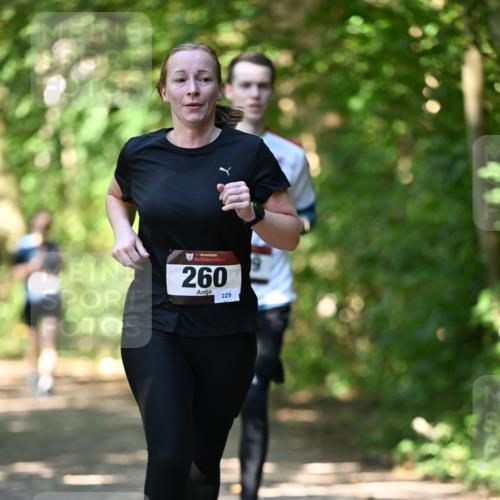 06.10.2024 - Bramfelder Halbmarathon 2024 Dr. Thomas Lammeyer http://msf.ph/oto/7341351 06.10.2024 10:49:02 Laufen 33, 260, 229 meine-sportfotos.de