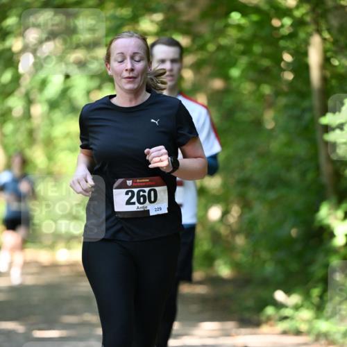 06.10.2024 - Bramfelder Halbmarathon 2024 Dr. Thomas Lammeyer http://msf.ph/oto/7341352 06.10.2024 10:49:02 Laufen 260, 229 meine-sportfotos.de