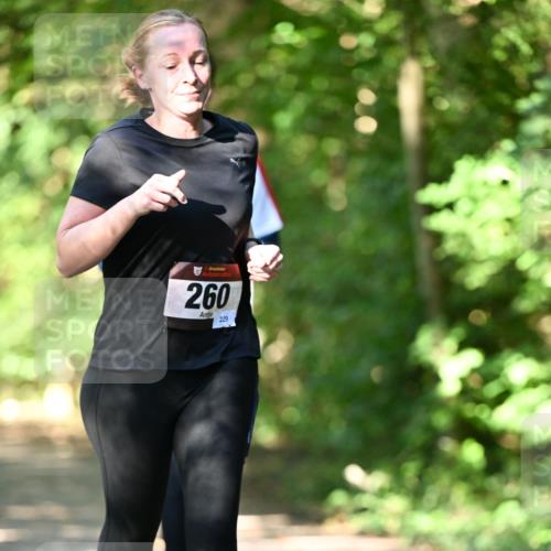 06.10.2024 - Bramfelder Halbmarathon 2024 Dr. Thomas Lammeyer http://msf.ph/oto/7341354 06.10.2024 10:49:02 Laufen 260, 229 meine-sportfotos.de