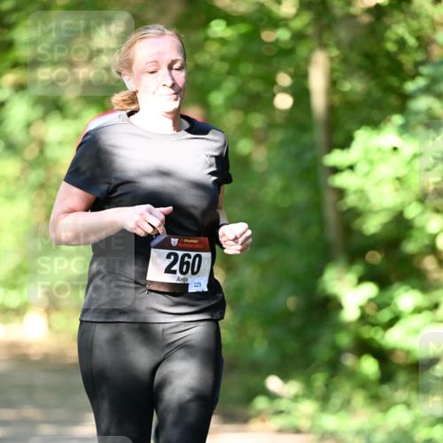 06.10.2024 - Bramfelder Halbmarathon 2024 Dr. Thomas Lammeyer http://msf.ph/oto/7341355 06.10.2024 10:49:02 Laufen 260, 229 meine-sportfotos.de