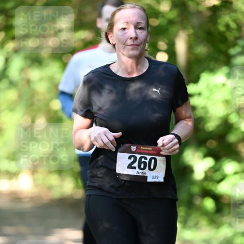 06.10.2024 - Bramfelder Halbmarathon 2024 Dr. Thomas Lammeyer http://msf.ph/oto/7341358 06.10.2024 10:49:03 Laufen 33, 260, 229 meine-sportfotos.de