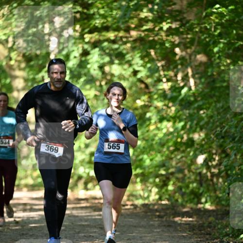 06.10.2024 - Bramfelder Halbmarathon 2024 Dr. Thomas Lammeyer http://msf.ph/oto/7341359 06.10.2024 10:49:06 Laufen 534, 369, 565 meine-sportfotos.de