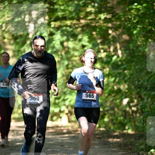 06.10.2024 - Bramfelder Halbmarathon 2024 Dr. Thomas Lammeyer http://msf.ph/oto/7341363 06.10.2024 10:49:06 Laufen 534, 369, 565 meine-sportfotos.de