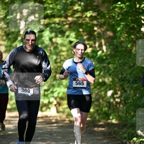 06.10.2024 - Bramfelder Halbmarathon 2024 Dr. Thomas Lammeyer http://msf.ph/oto/7341364 06.10.2024 10:49:06 Laufen 369, 9, 565 meine-sportfotos.de
