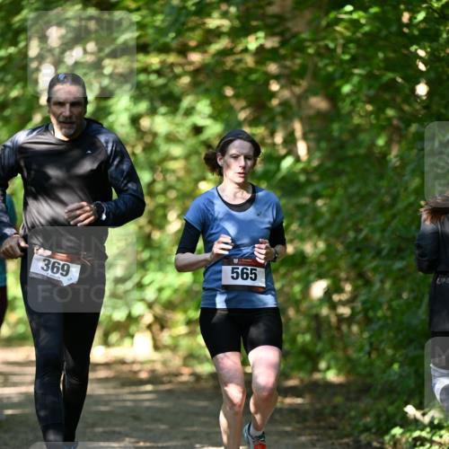 06.10.2024 - Bramfelder Halbmarathon 2024 Dr. Thomas Lammeyer http://msf.ph/oto/7341365 06.10.2024 10:49:06 Laufen 369, 565 meine-sportfotos.de