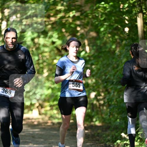 06.10.2024 - Bramfelder Halbmarathon 2024 Dr. Thomas Lammeyer http://msf.ph/oto/7341366 06.10.2024 10:49:06 Laufen 369, 6, 565 meine-sportfotos.de