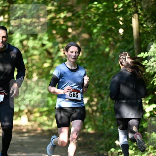 06.10.2024 - Bramfelder Halbmarathon 2024 Dr. Thomas Lammeyer http://msf.ph/oto/7341367 06.10.2024 10:49:07 Laufen 565 meine-sportfotos.de