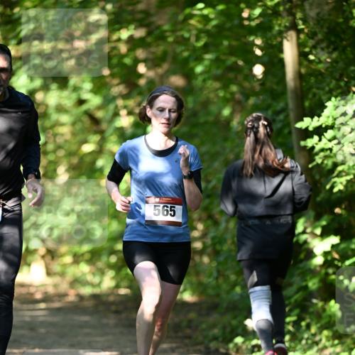 06.10.2024 - Bramfelder Halbmarathon 2024 Dr. Thomas Lammeyer http://msf.ph/oto/7341368 06.10.2024 10:49:07 Laufen 565 meine-sportfotos.de