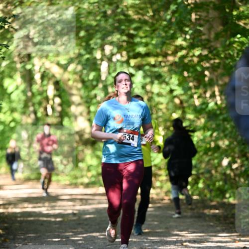 06.10.2024 - Bramfelder Halbmarathon 2024 Dr. Thomas Lammeyer http://msf.ph/oto/7341378 06.10.2024 10:49:09 Laufen 534 meine-sportfotos.de