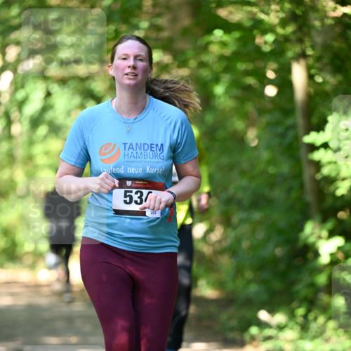 06.10.2024 - Bramfelder Halbmarathon 2024 Dr. Thomas Lammeyer http://msf.ph/oto/7341392 06.10.2024 10:49:11 Laufen 53, 203 meine-sportfotos.de