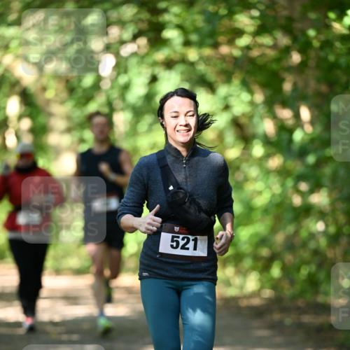 06.10.2024 - Bramfelder Halbmarathon 2024 Dr. Thomas Lammeyer http://msf.ph/oto/7341464 06.10.2024 10:49:40 Laufen 521 meine-sportfotos.de