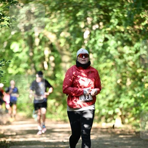 06.10.2024 - Bramfelder Halbmarathon 2024 Dr. Thomas Lammeyer http://msf.ph/oto/7341479 06.10.2024 10:49:44 Laufen 13 meine-sportfotos.de