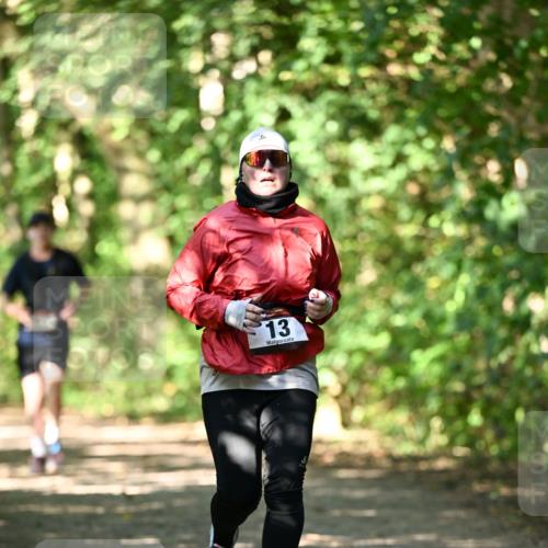 06.10.2024 - Bramfelder Halbmarathon 2024 Dr. Thomas Lammeyer http://msf.ph/oto/7341485 06.10.2024 10:49:45 Laufen 13 meine-sportfotos.de
