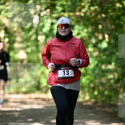06.10.2024 - Bramfelder Halbmarathon 2024 Dr. Thomas Lammeyer http://msf.ph/oto/7341492 06.10.2024 10:49:45 Laufen 6, 13 meine-sportfotos.de
