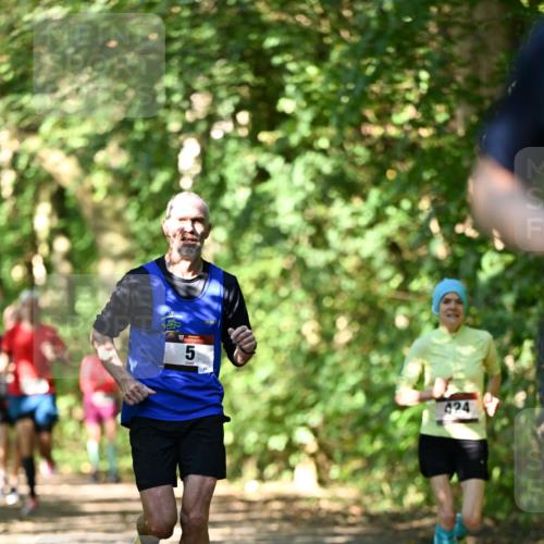 06.10.2024 - Bramfelder Halbmarathon 2024 Dr. Thomas Lammeyer http://msf.ph/oto/7341515 06.10.2024 10:49:53 Laufen 5, 424 meine-sportfotos.de