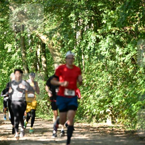 06.10.2024 - Bramfelder Halbmarathon 2024 Dr. Thomas Lammeyer http://msf.ph/oto/7341523 06.10.2024 10:49:57 Laufen  meine-sportfotos.de