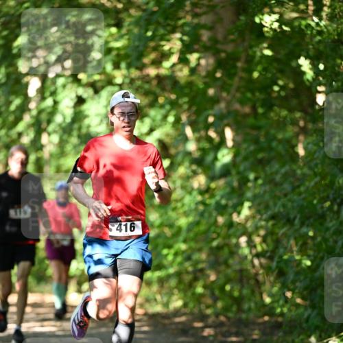 06.10.2024 - Bramfelder Halbmarathon 2024 Dr. Thomas Lammeyer http://msf.ph/oto/7341531 06.10.2024 10:49:59 Laufen 416 meine-sportfotos.de